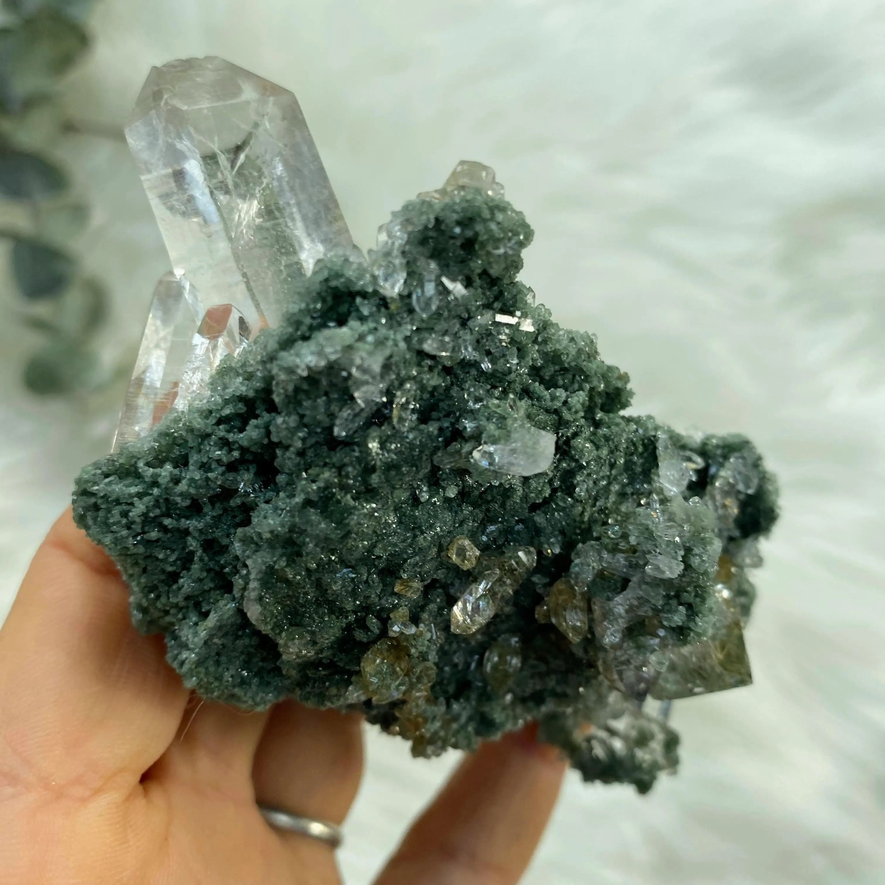 Rare Green Samadhi Himalayan Quartz Intricate Cluster ~Locality: Himalayas