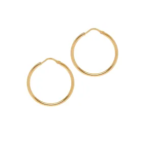 Skinny, Classic, Shiny, Chica Latina Hoop Earrings - Gold